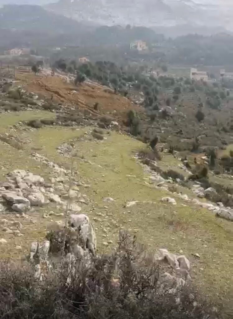 Land for sale in Lassa Jbeil - 4,260 m²