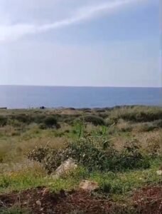 land in Barbara