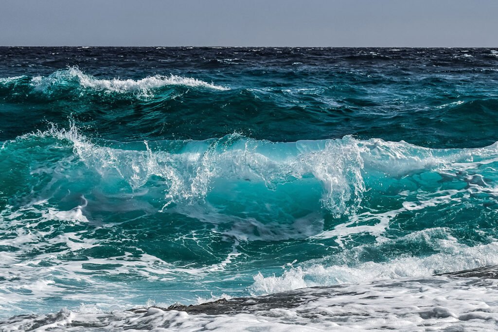 sea batroun